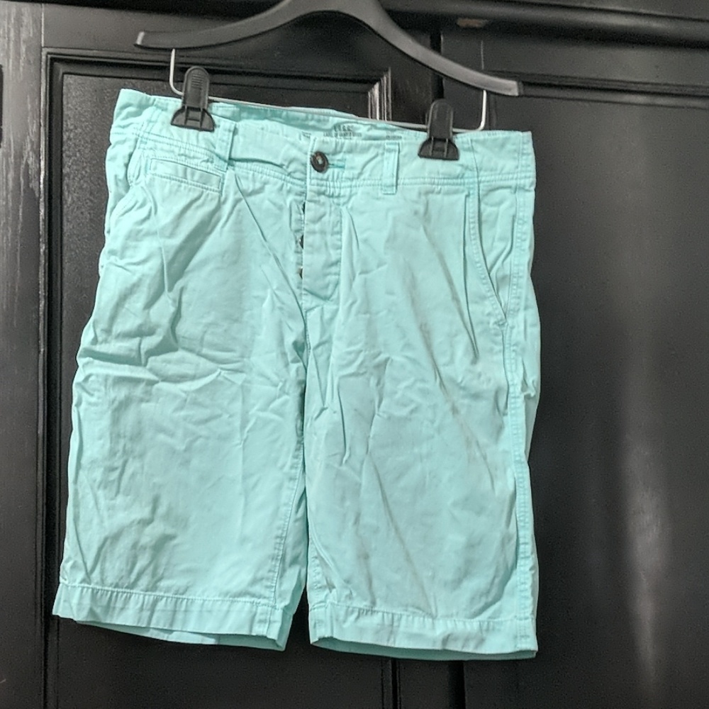 H&M Teal shorts sz 29 button fly